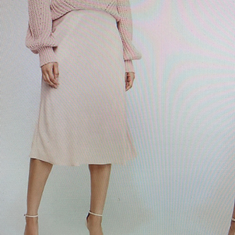 NWT Express satin skirt